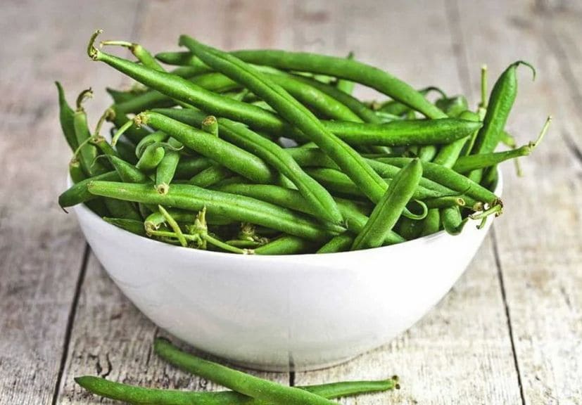 can dogs eat green beans?: Green beans in while bowl