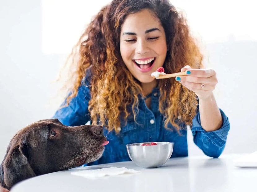 a woman feeding feeding strawberry and yogurt to a dog